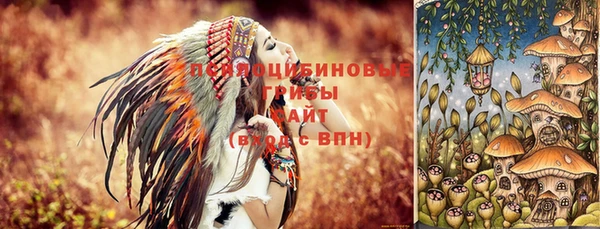 2c-b Белокуриха