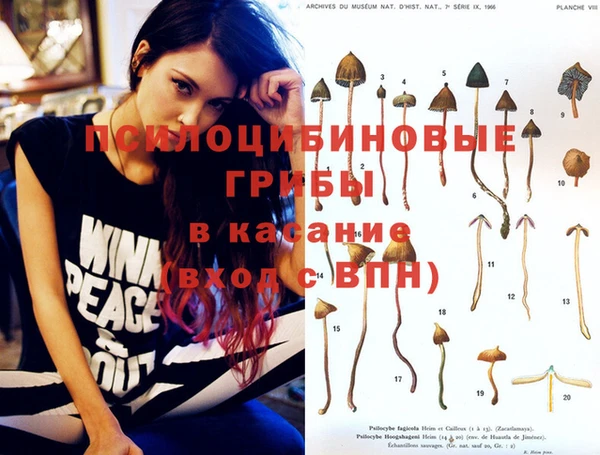 2c-b Белокуриха