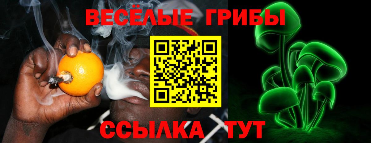 Галлюциногенные грибы Psilocybe Бугульма
